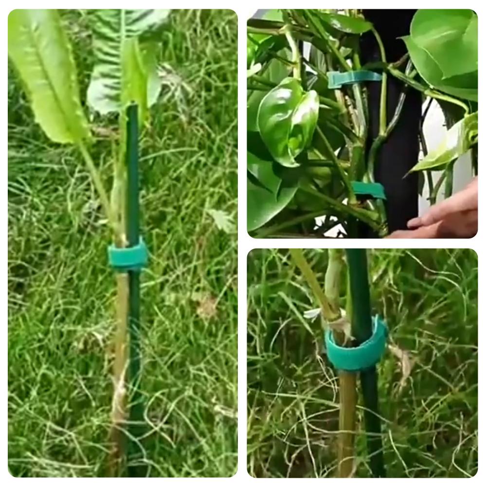 100 szt. Wielorazowe, regulowa – Velcro Hook Loop recenzja i cena